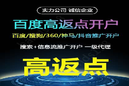 成功案例解析：SEM竞价员策略